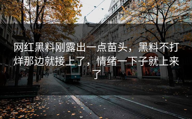 网红黑料刚露出一点苗头，黑料不打烊那边就接上了，情绪一下子就上来了