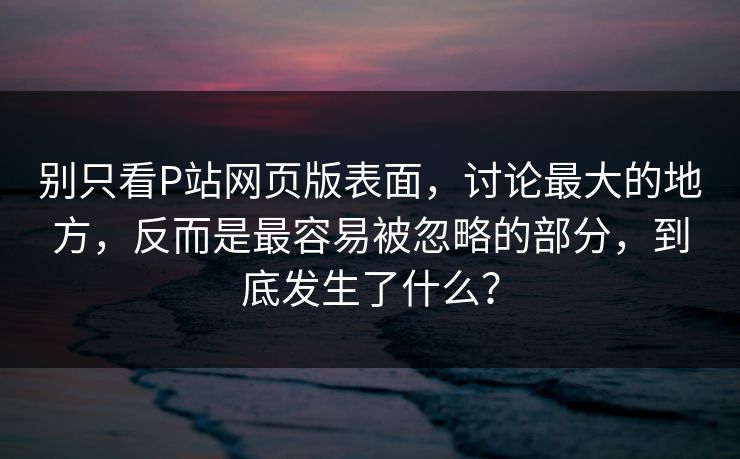 别只看P站网页版表面，讨论最大的地方，反而是最容易被忽略的部分，到底发生了什么？
