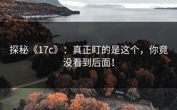 探秘《17c》：真正盯的是这个，你竟没看到后面！